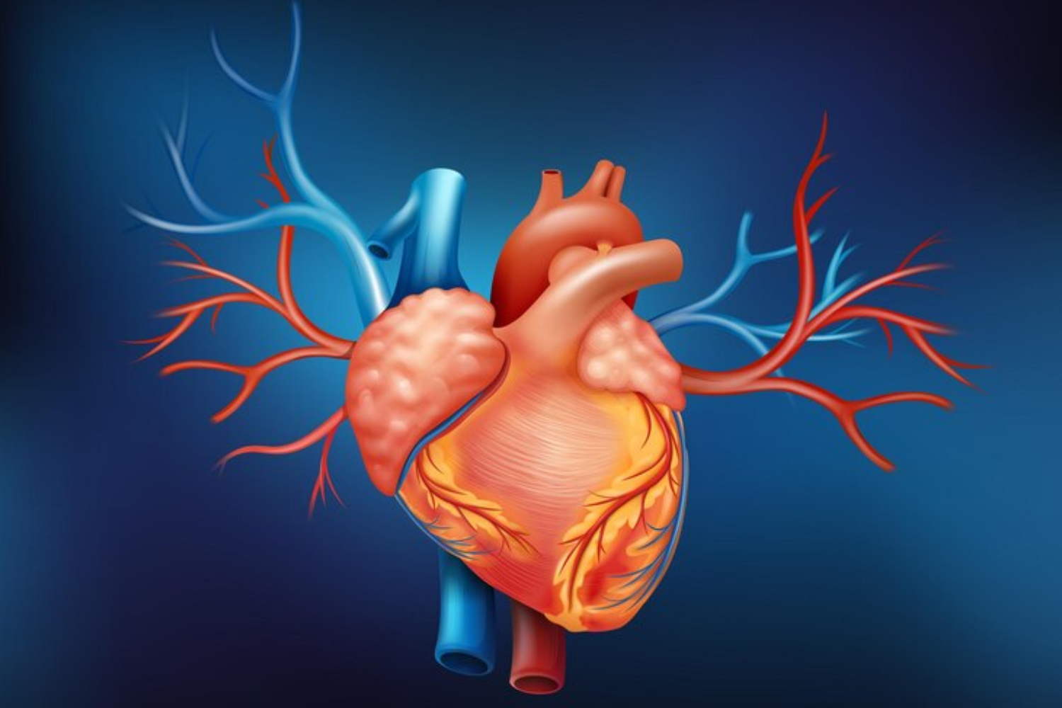Heart Bypass Surgery: Preparation, Procedure, Recovery, and More