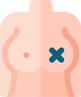 breast agumentation in Thane
