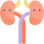 Kidney stone treatment in Thane